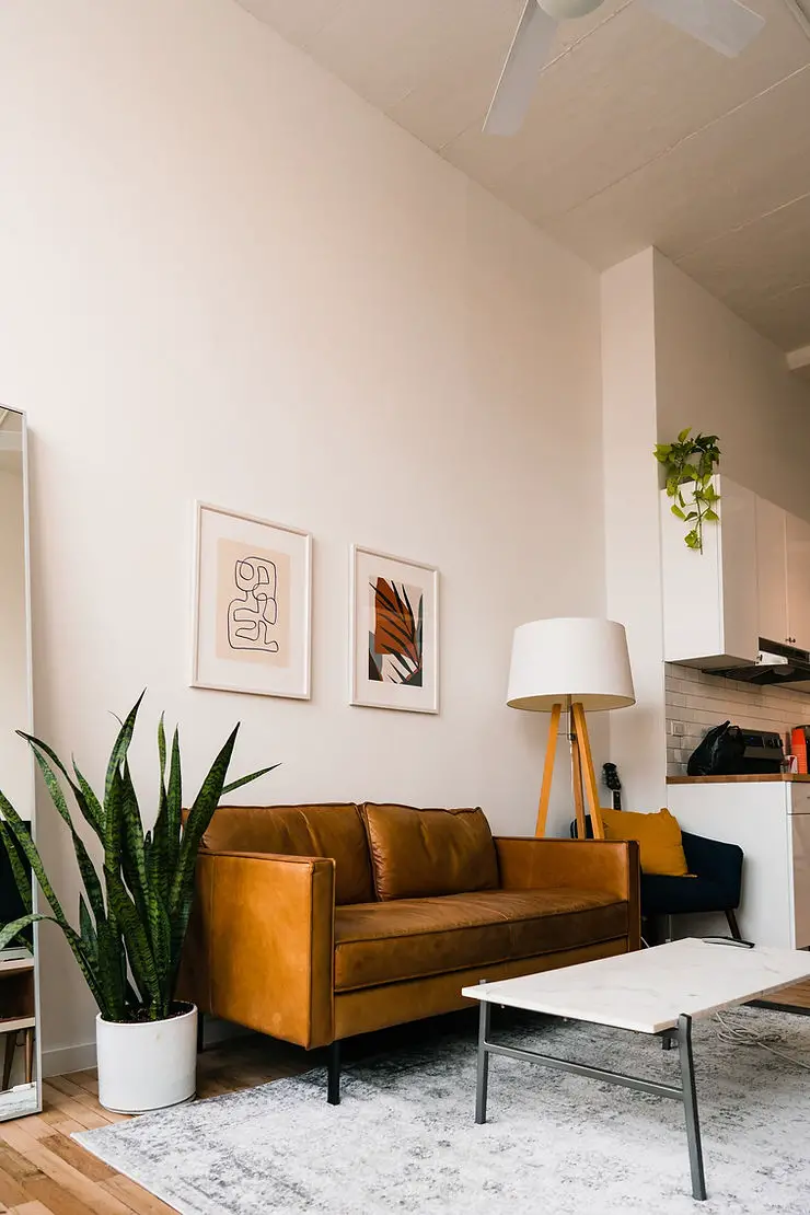 minimalist masculine bachelor apartment living room