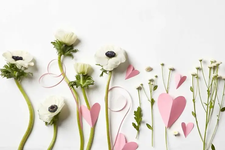 minimalist flowers and paper hearts
