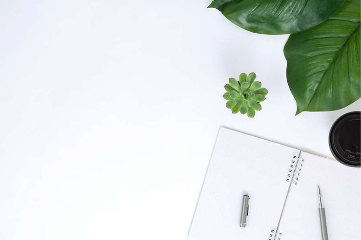 notebook with plants
