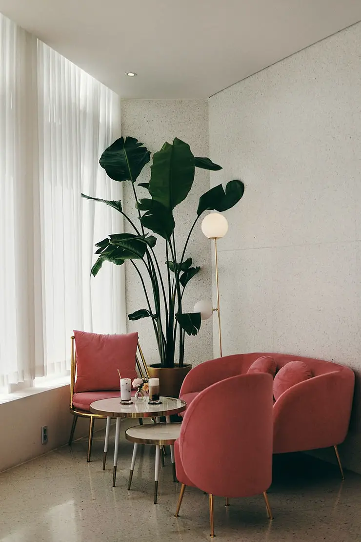minimalist small apartment hot pink lving room