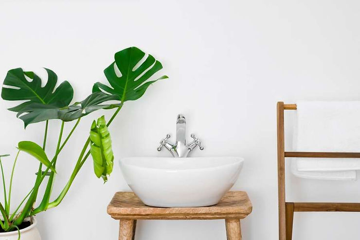 minimalist design idea with white sink and green monstera plant
