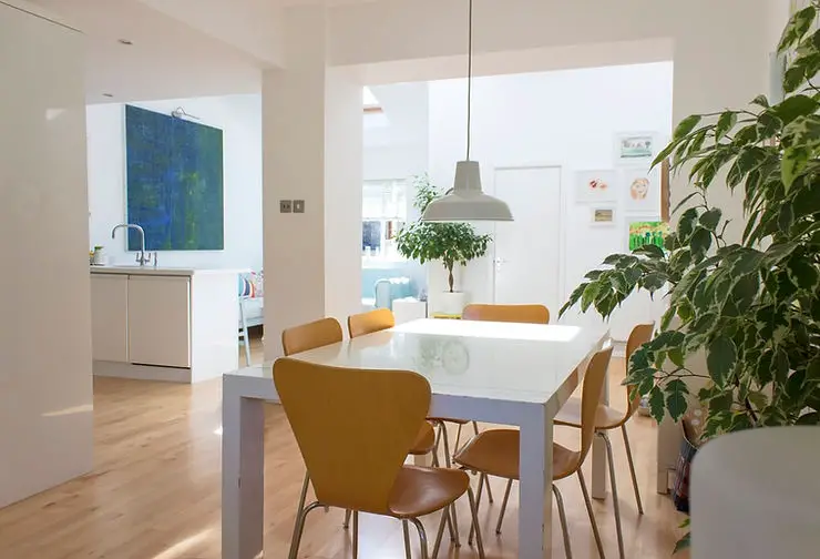 minimalist dining room with live plants decoration