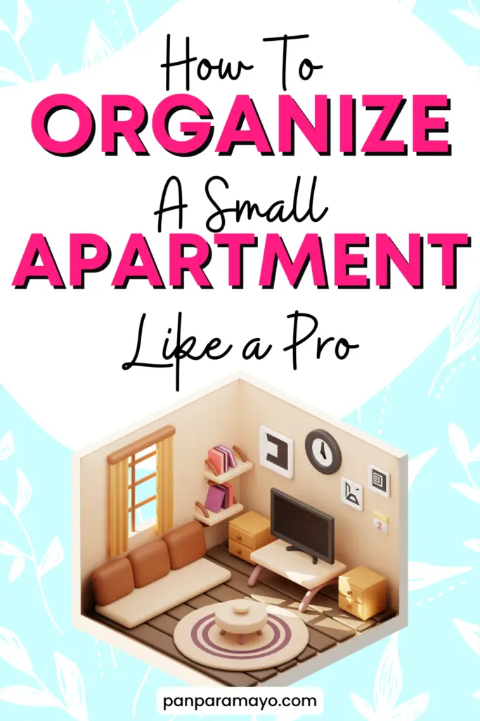 how to organize a small apartment like a pro