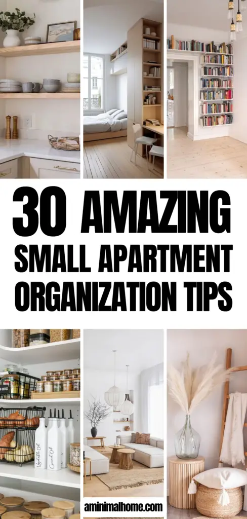 Small Apartment Organization Ideas